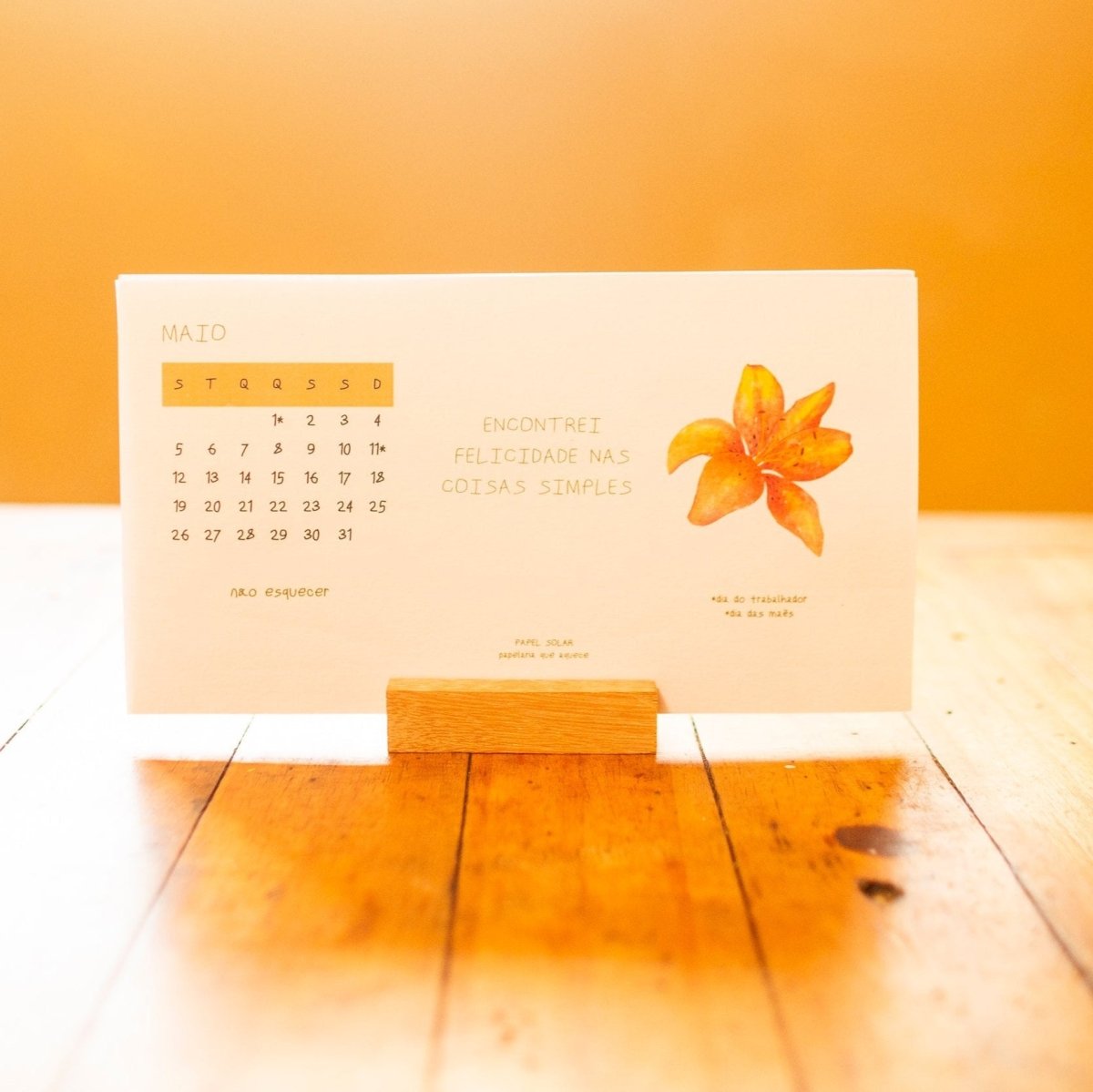 Casa Brasileira - Calendario de Mesa 2025 - Papel Solar - Papelaria